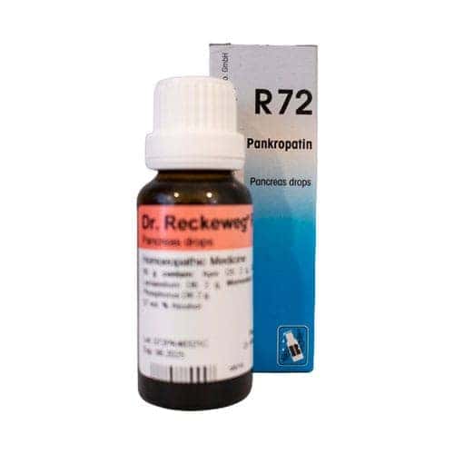 Reckeweg Pankropatin 72 Drops 22ml (pancreatic Problems)